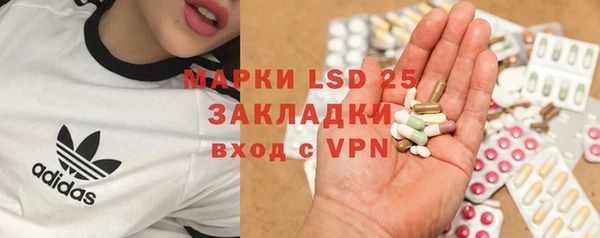 ГАЛЛЮЦИНОГЕННЫЕ ГРИБЫ Кодинск