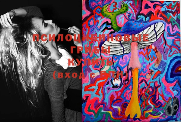 молекула духа Алзамай