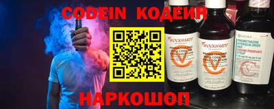 гашик Кингисепп