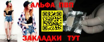 гашик Кингисепп