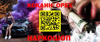 гашик Кингисепп