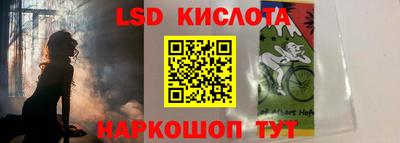 гашик Кингисепп