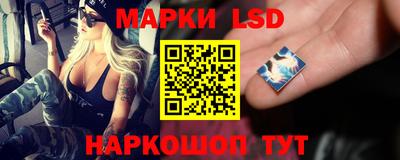 стафф Кинель