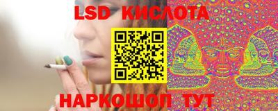 гашик Кингисепп
