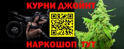 гашик Кингисепп