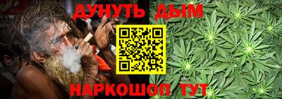 гашик Кингисепп