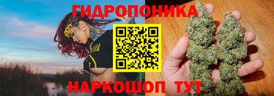 стафф Кинель