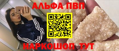 гашик Кингисепп