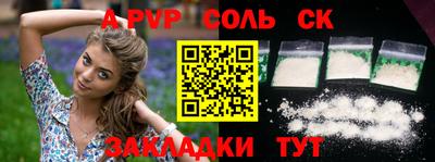гашик Кингисепп