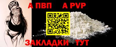 гашик Кингисепп