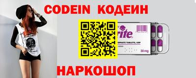 гашик Кингисепп