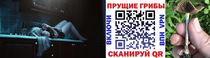 Псилоцибиновые грибы прущие грибы  Обнинск 