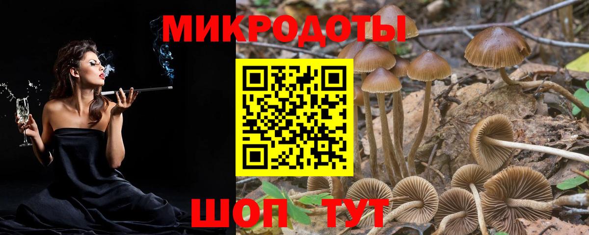 Обнинск  Псилоцибиновые грибы MAGIC MUSHROOMS  Вход с VPN  Галлюциногенные грибы GOLDEN TEACHER 